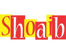Shoaib errors logo