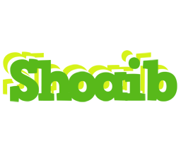 Shoaib picnic logo