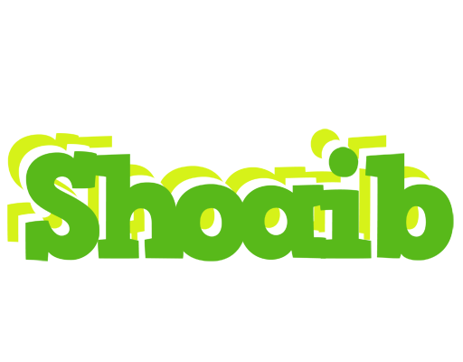 Shoaib picnic logo