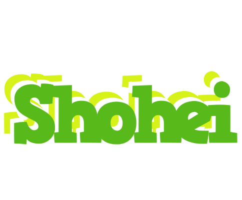 Shohei picnic logo