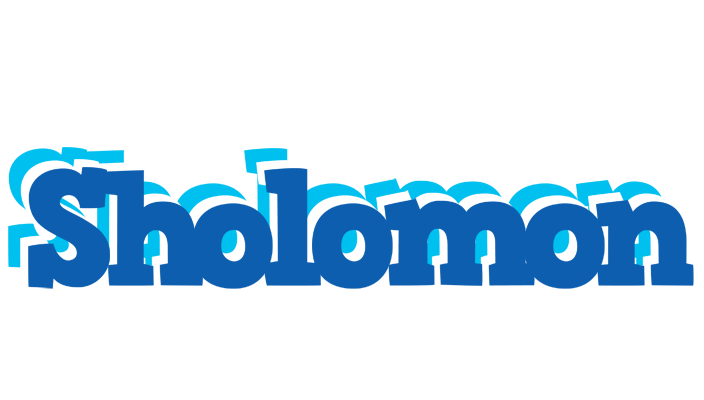 Sholomon business logo