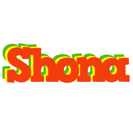 Shona bbq logo