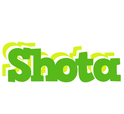 Shota picnic logo
