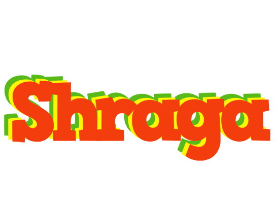 Shraga bbq logo
