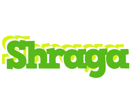 Shraga picnic logo