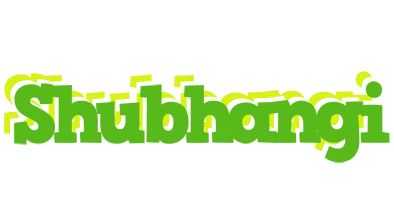 Shubhangi picnic logo