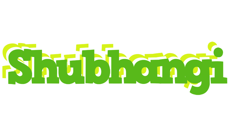 Shubhangi picnic logo