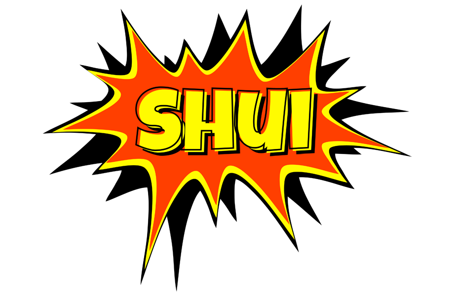 Shui bazinga logo