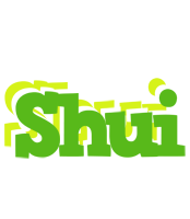 Shui picnic logo