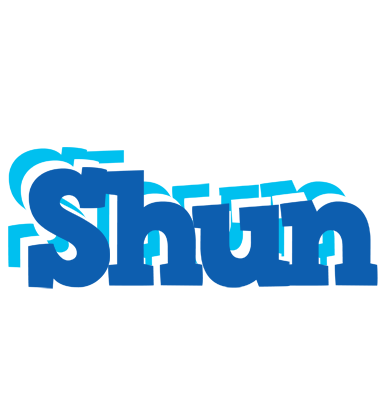 Shun business logo