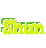 Shun citrus logo