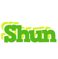 Shun picnic logo