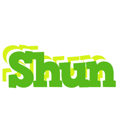 Shun picnic logo