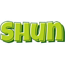 Shun summer logo