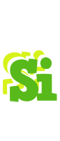 Si picnic logo