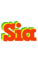 Sia bbq logo