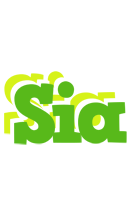 Sia picnic logo