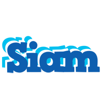 Siam business logo