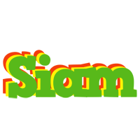 Siam crocodile logo