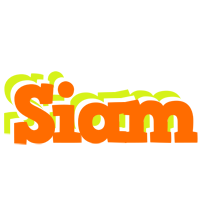 Siam healthy logo