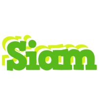 Siam picnic logo