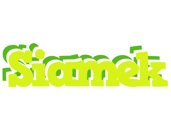 Siamek citrus logo