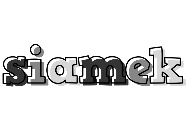 Siamek night logo