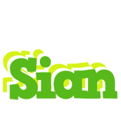 Sian picnic logo