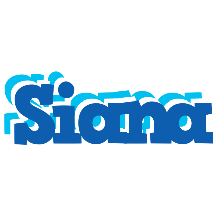 Siana business logo