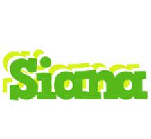 Siana picnic logo