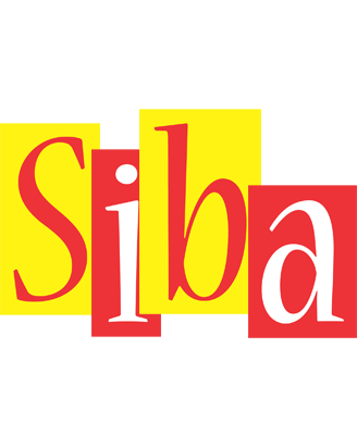 Siba errors logo