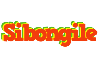 Sibongile bbq logo