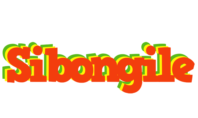 Sibongile bbq logo