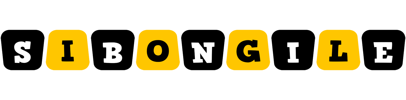 Sibongile boots logo