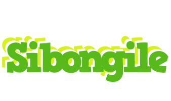 Sibongile picnic logo