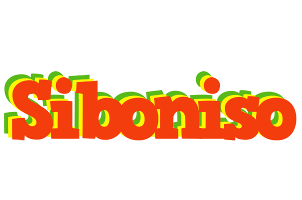 Siboniso bbq logo