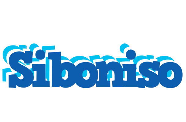 Siboniso business logo