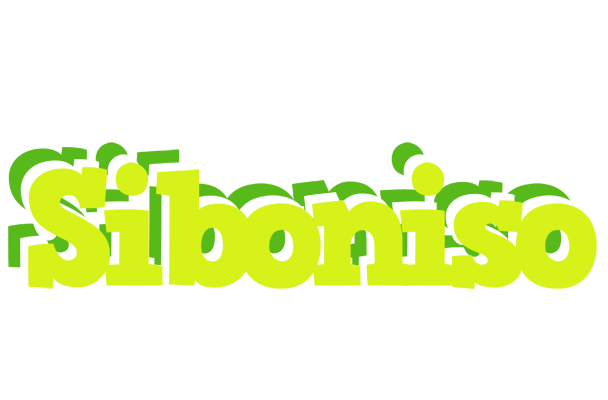 Siboniso citrus logo