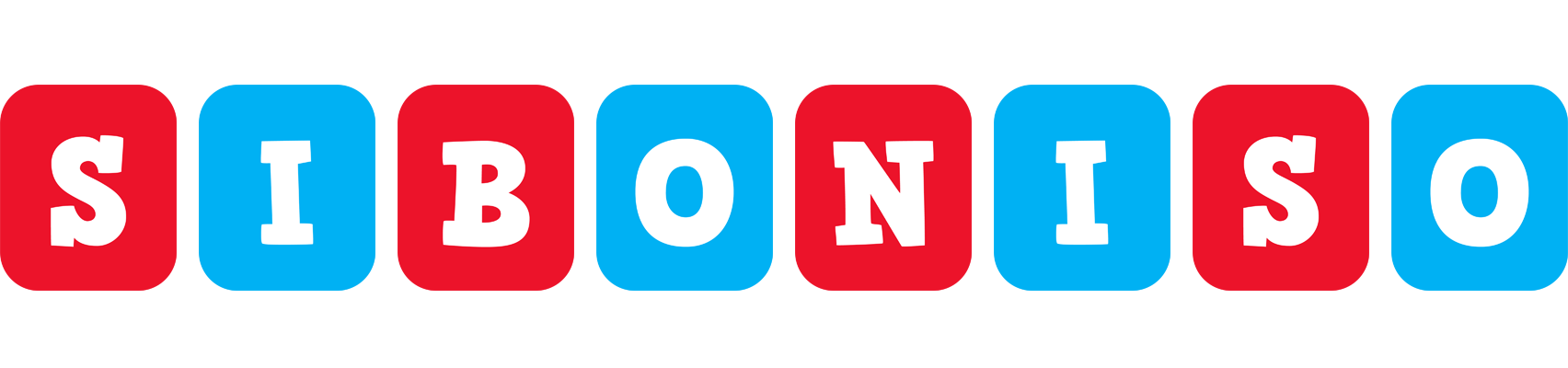 Siboniso diesel logo