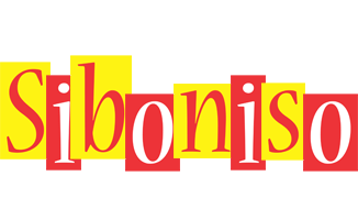 Siboniso errors logo