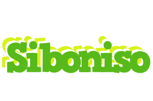 Siboniso picnic logo