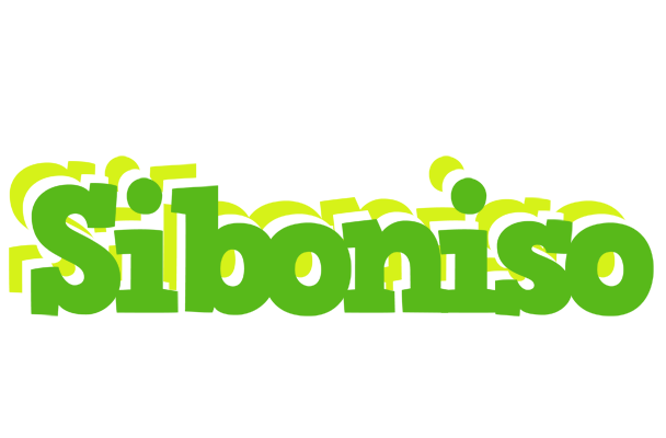 Siboniso picnic logo