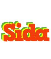 Sida bbq logo