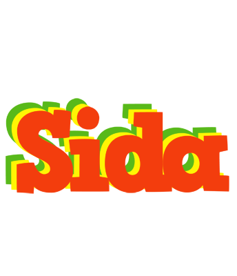 Sida bbq logo