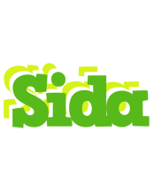 Sida picnic logo