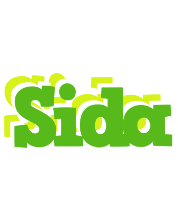 Sida picnic logo