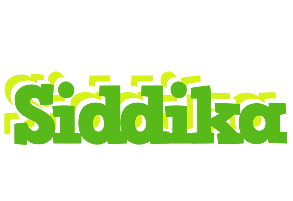 Siddika picnic logo