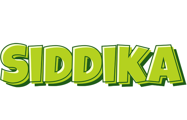 Siddika summer logo
