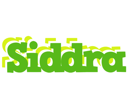 Siddra picnic logo
