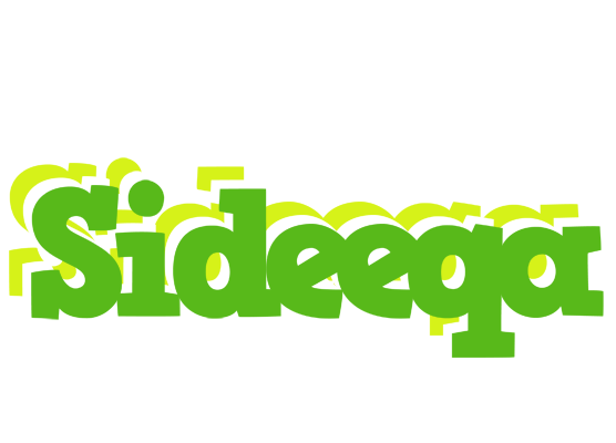 Sideeqa picnic logo